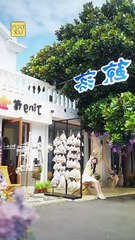 Replaying the Color of Our Days Full Movie