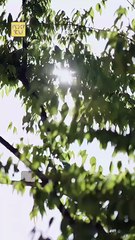 Lose Me, Lose Everything Full Movie