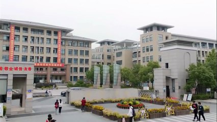 Professional Single Chinese Drama Ep 23 Eng Sub New Chinese Dramas Ep 23 Eng Sub _ Chinese Drama Eng