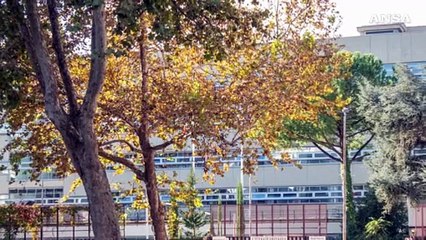 La scomparsa del giudice Adinolfi resta ancora un giallo