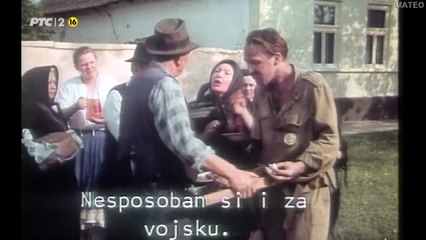 Sex-partijski neprijatelj br. 1  domaći film