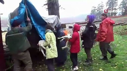 17 yıldır aynı yol, aynı gelenek! Bolu'da yaylalardan köylere göç başladı