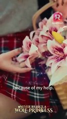 Born a wolf princess, I fled my clan to find true love! | Never Reject A Wolf Princess | ReelShort