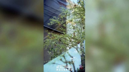 The Double Life of My Billionaire Husband: Two 'black sheep' of families are married! | ReelShort