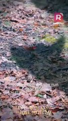 The woman who suddenly burst into my world is my fated mate? | Two Alphas Are in Love with Me