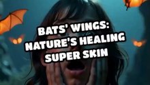 Bats’ Wings Nature’s Healing Super Skin