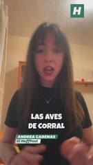 Las gallinas al gallinero: el Gobierno ha decretado el confinamiento de todas las aves de corral en España