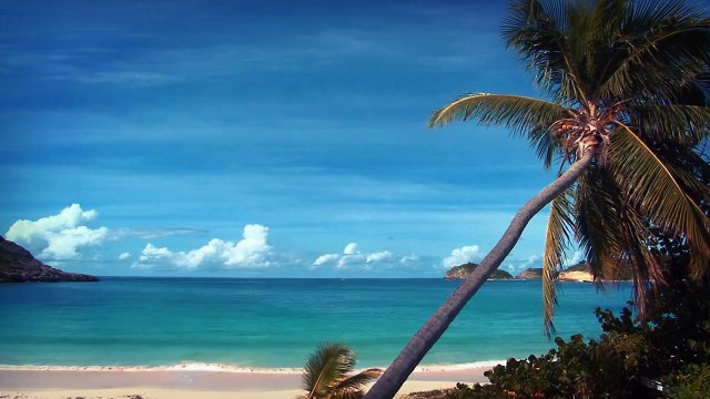 COMO GANHAR MAIS DINHEIRO | Nathalia Arcuri | DICAS PARA TER MAIS DINHEIRO