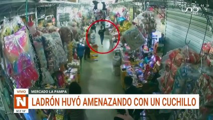 Robó una cartera y huyó amenazando con un cuchillo en pleno mercado La Pampa (VIDEO)