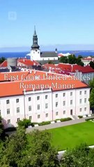 Rvc La Sustituta Del Jefe De La Mafia Es - Full Movie