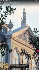 Forced To Love The Ruthless Ceo & Detailed Version - Full Movie