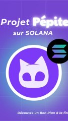 Découverte du Projet Pépite sur Solana 💎