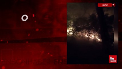 Hatay'da ormanlık alanda yangın çıktı