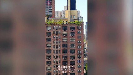 Accidental Surrogate for Alpha Movie Clip | ReelShort