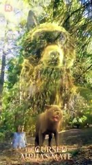 💞Bound by Blood, Chosen by Destiny. We Were Born for Each Other!🔗 | 🐺Werewolf Dramas | ReelShort