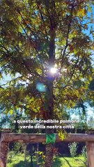 Gualtieri - Lo avevamo promesso, lo abbiamo fatto! (13.11.25)