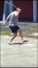 Toujours se méfier des lézards