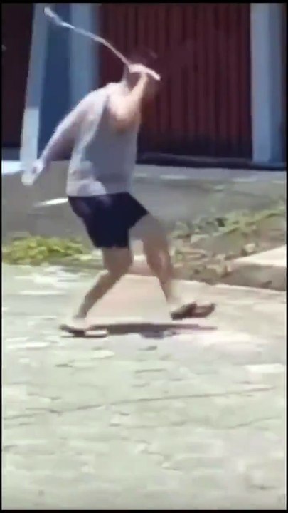 Toujours se méfier des lézards