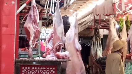 #reel ait Ourir Maroc