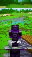 😎 rejoins le Discord dans ma bio #minecraft #mast