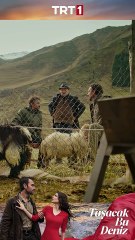 Gezep'in ciddi sorunlar #tasacakbudeniz #trt1 #shorts