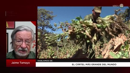 El Cartel más grande del mundo | Jaime Tamayo