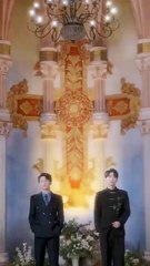 Fake it till you love me / Posing as their dream girls / Crushing on my Fake Husband / Shadows of the Heart / The Disguised Bride, Love Realized