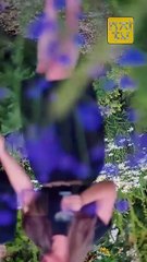 New hot My Domineering Prince (2025) Full