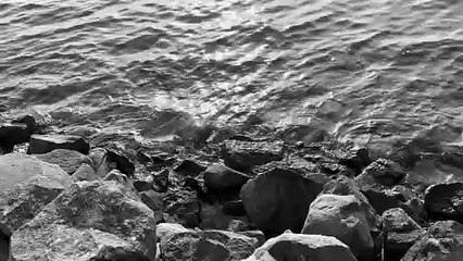 Casa - Luca Caperna - Official Music Video