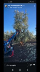 Michele monopoli story