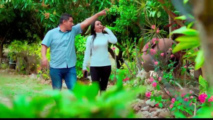 Notivisión Central -Jueves 13 de noviembre de 2025