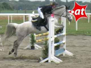 Nina Brand, Springreiten, Kottingbrunn (2008-029)