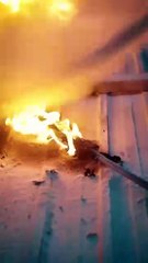 Blind Love's Revenge / Blindness and Amnesia : Love’s Truth