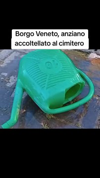 Borgo Veneto, anziano accoltellato al cimitero #cimitero #ansa #tg #cronaca #giallo #italiatiktok #socialnews #tiktoknews #perteeeee #daytime #news