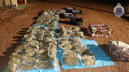 Half a million dollars’ worth of cannabis seized in Winton