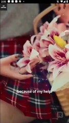 Never Reject A Wolf Princess #FullMovie