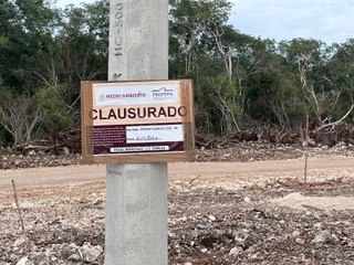 Clausura PROFEPA obras de Crío en el sitio maya Tzemé en Kinchil tras daños ambientales y arqueológicos