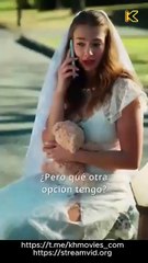 Matrimonio Equivocado, Novio Destinado en español