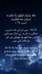 “Don’t let their talk sadden you; Allah sees your heart and your truth.” #DivineCare #HeartComfort #FaithJourney