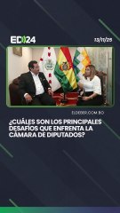¿Cuáles son los principales que enfrenta la Cámara de Diputados?