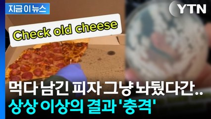 남긴 피자, 다음 날엔 어떨까?...미생물학자가 보여준 충격 결과 [지금이뉴스] / YTN