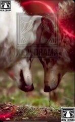 🍏💚☪️✅🏳️ 11.22 - 11.19 🔥 Bound to the Rebel Wolf dailymotion 🌍x9traa8