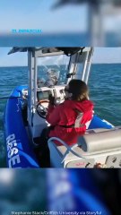 Graban bello instante nunca visto: Cría de ballena amamantando