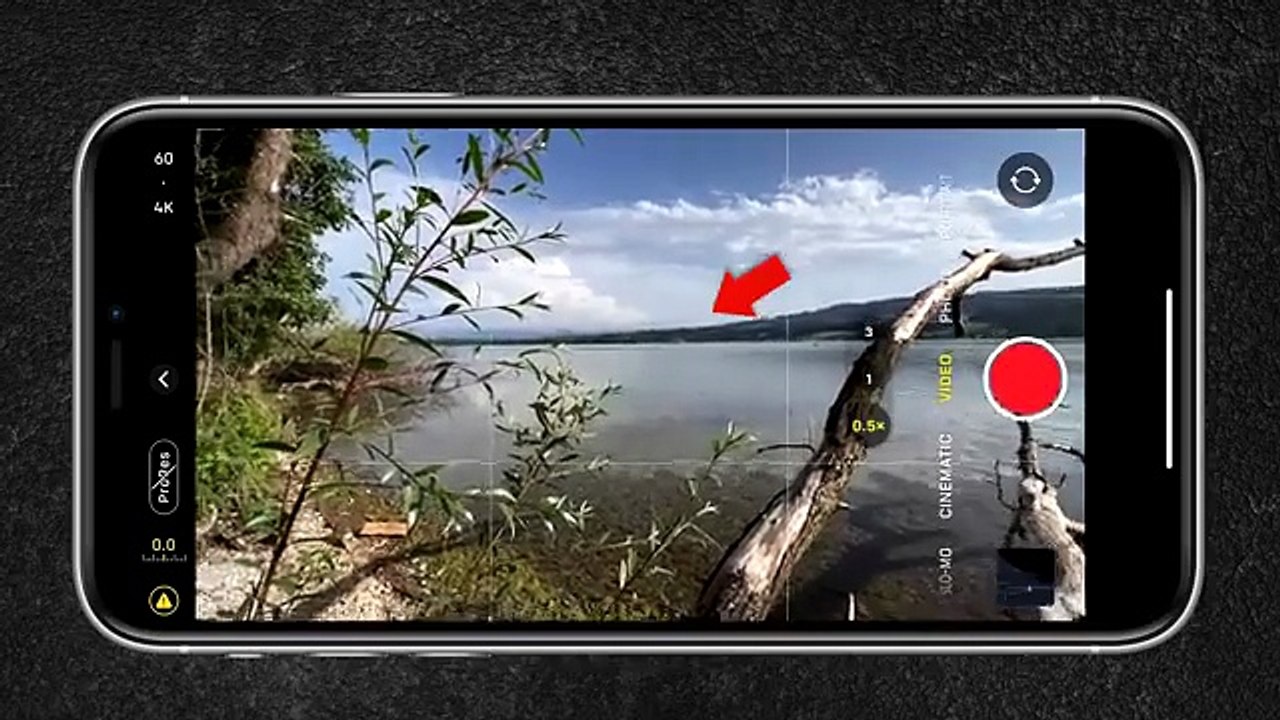 seek relaxation, inspiration, or simply a moment of wonder, Cinematic Nature