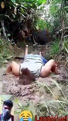 "Funniest Short Clips Compilation 😂 | Viral Comedy Moments"