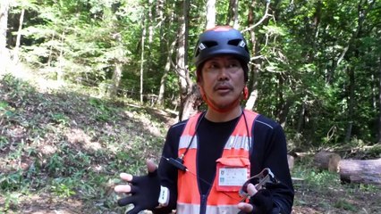 Monkey mania – locals in Japan struggle to keep macaques under control