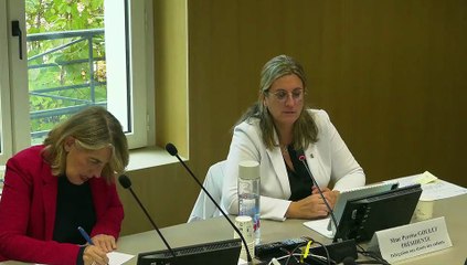 Délégation aux droits des enfants : Représentantes de la Fédération des acteurs de la solidarité, de l’UNICEF France et de la Fondation pour le logement - Mercredi 12 novembre 2025