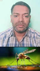 मलेरिया और डेंगू से एक सही बचाव ।