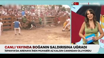 Muhabir canlı yayında boğanın saldırısına uğradı