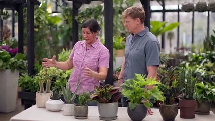 Ask This Old House Season 24 Episode 8